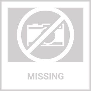 coleman 2000016540 waffle iron